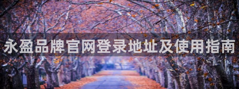 风暴娱乐体育热门赛事有哪些：永盈品牌官网登录地址及使用指南